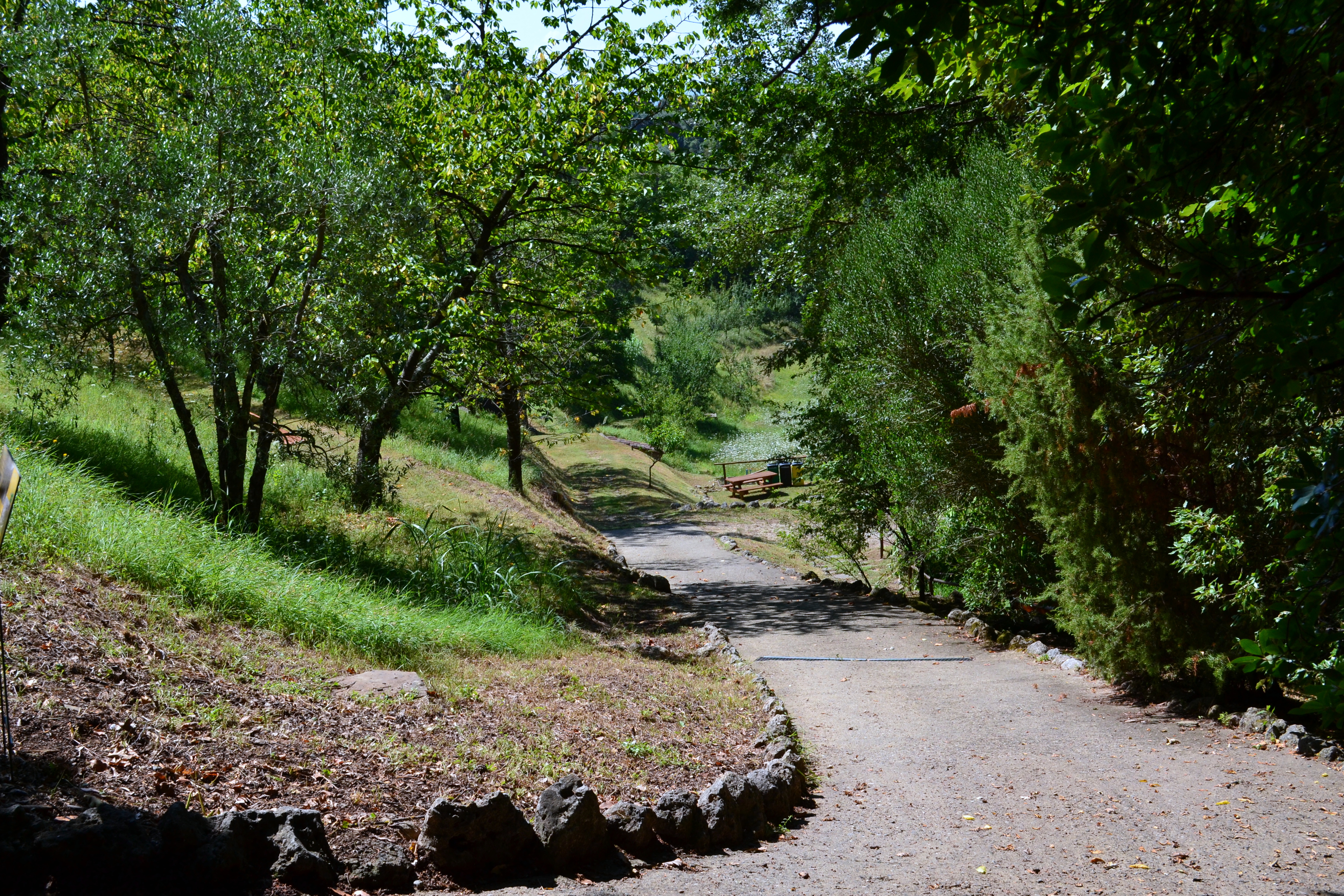 L'Orto Botanico: Lo Scrigno Delle Meraviglie - Siena News