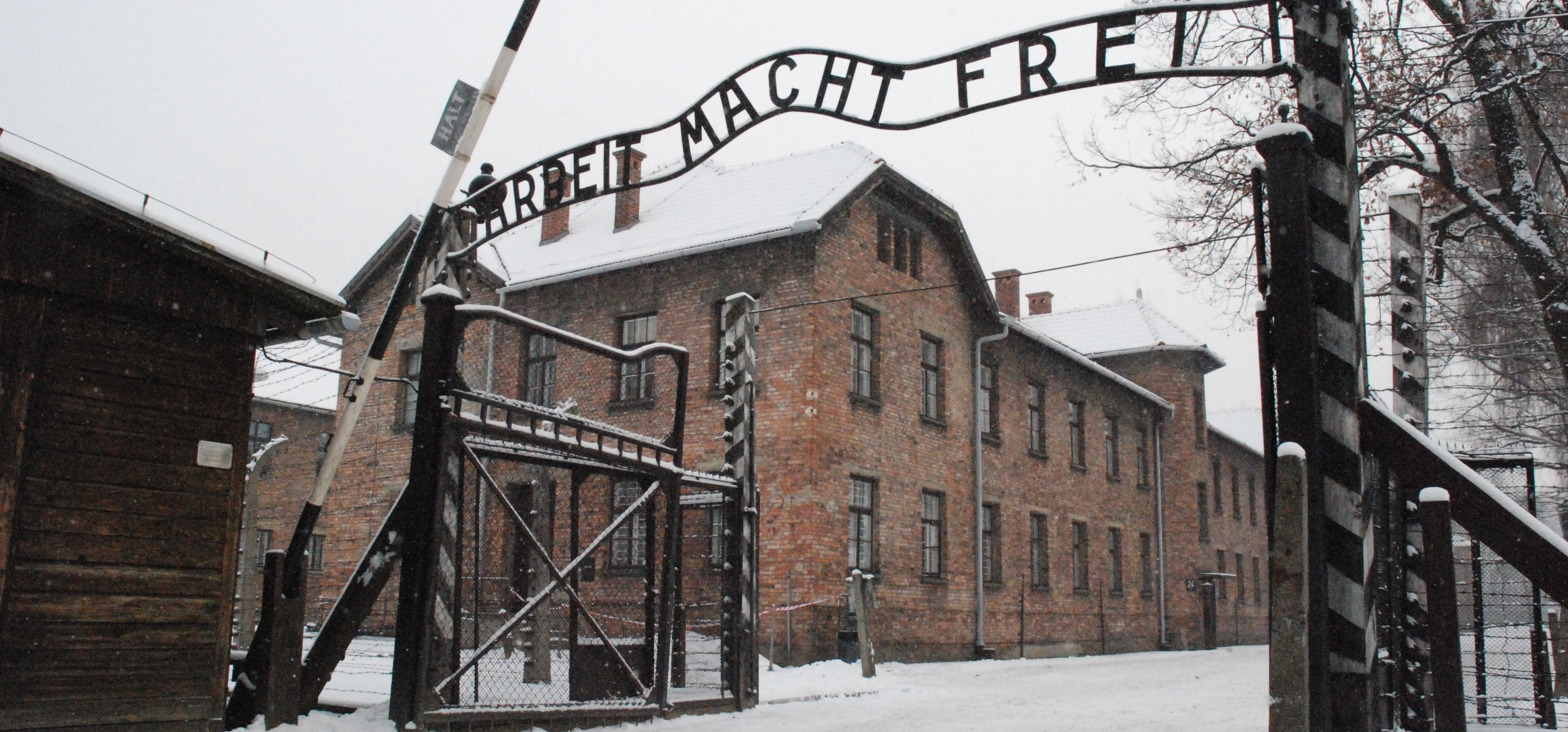 Auschwitz: la memoria rende liberi - Siena News