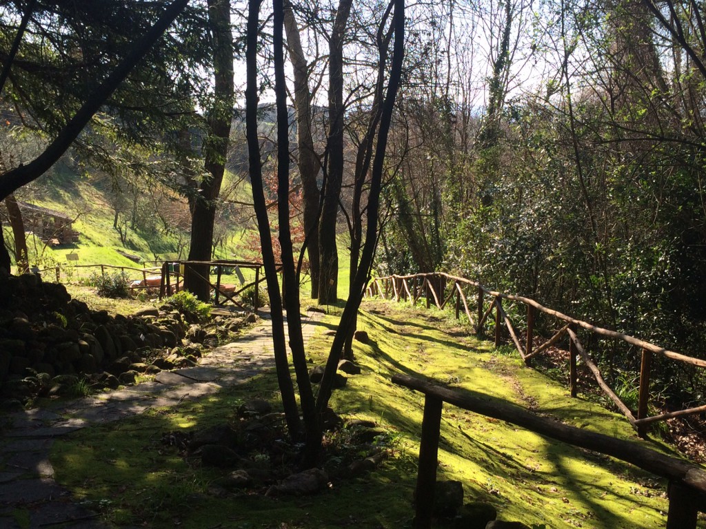 La Magìa Dell'Orto Botanico - Siena News