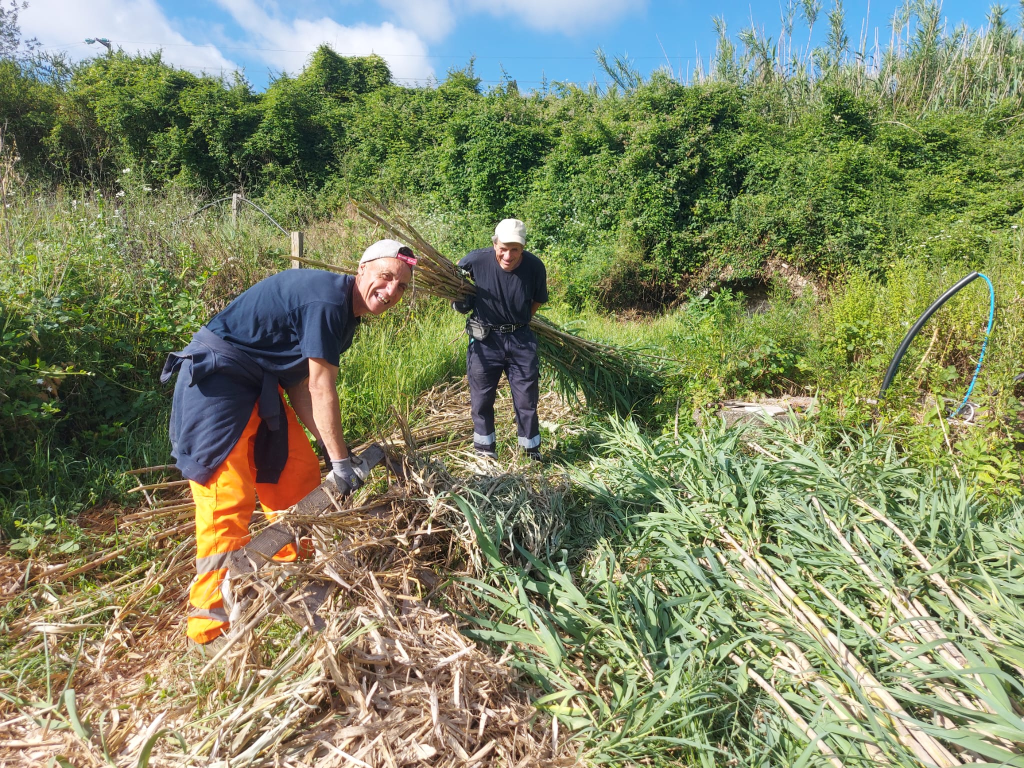 Semi Santi, sul territorio di Siena arriva il progetto di agricoltura ...